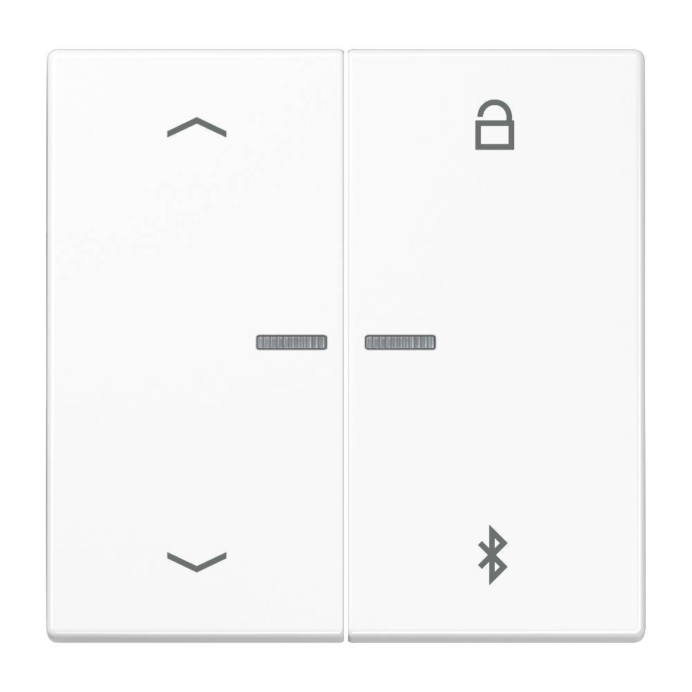 JUNG UP-BT-Timer-Einsatz aws glz LS 1751 PBT WW Basis+zentr.Abdeckpl