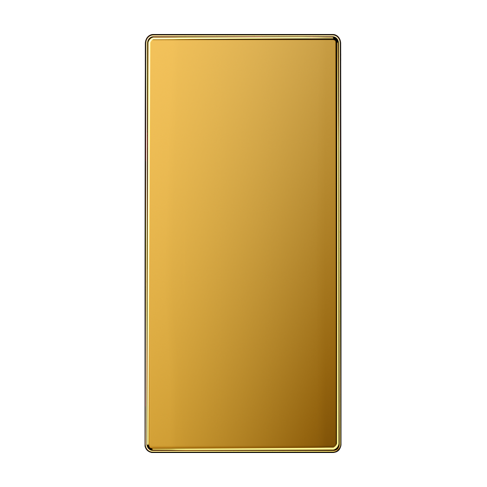 JUNG Abdeckung Blende go glz f.Bussystem LS 50 NA GGO