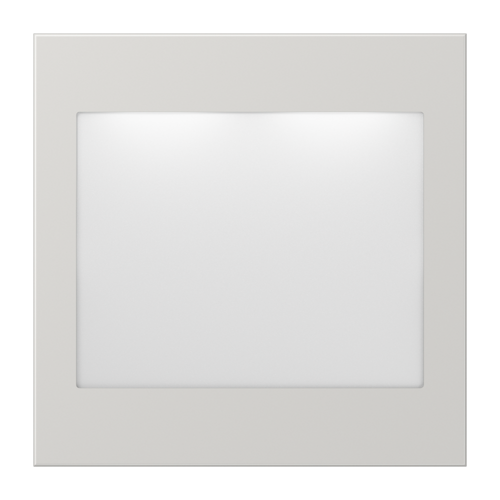 JUNG Lichtsignal lgr Aufs LED UP IP20 LS 539 LG RGB 230V m.LM festst.Symb