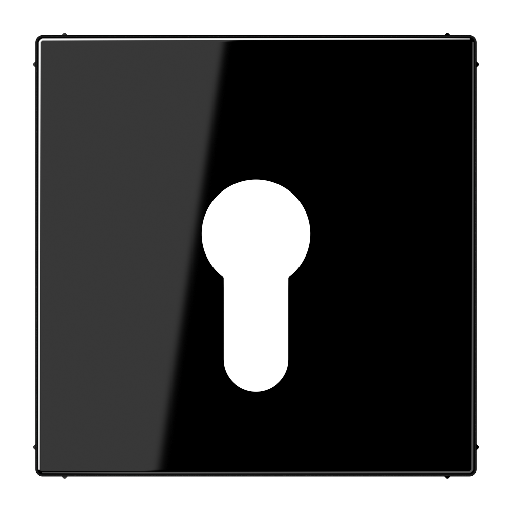 JUNG Schlüssel/Abd Schalter sw glz LS 925 SW