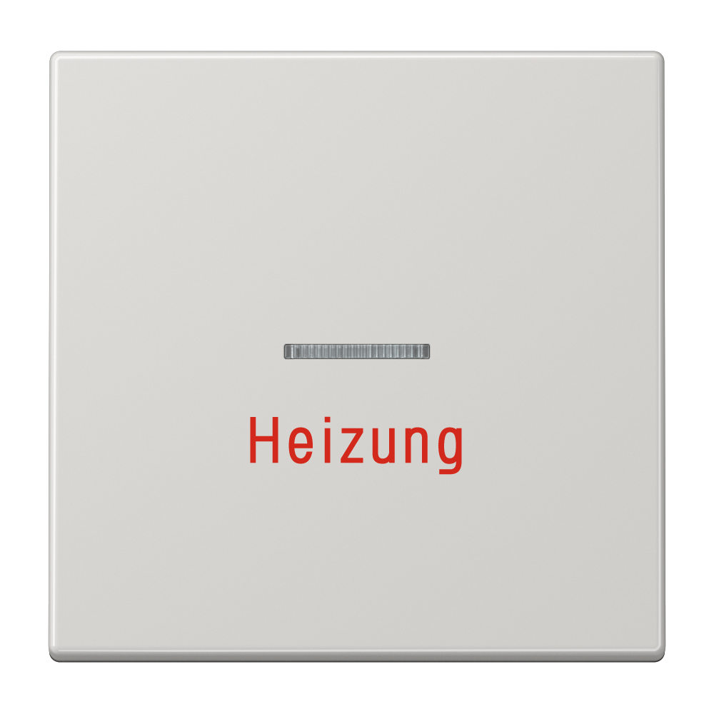 JUNG Kontrollwippe Schalter lgr glz LS 990 H LG austb.Symb