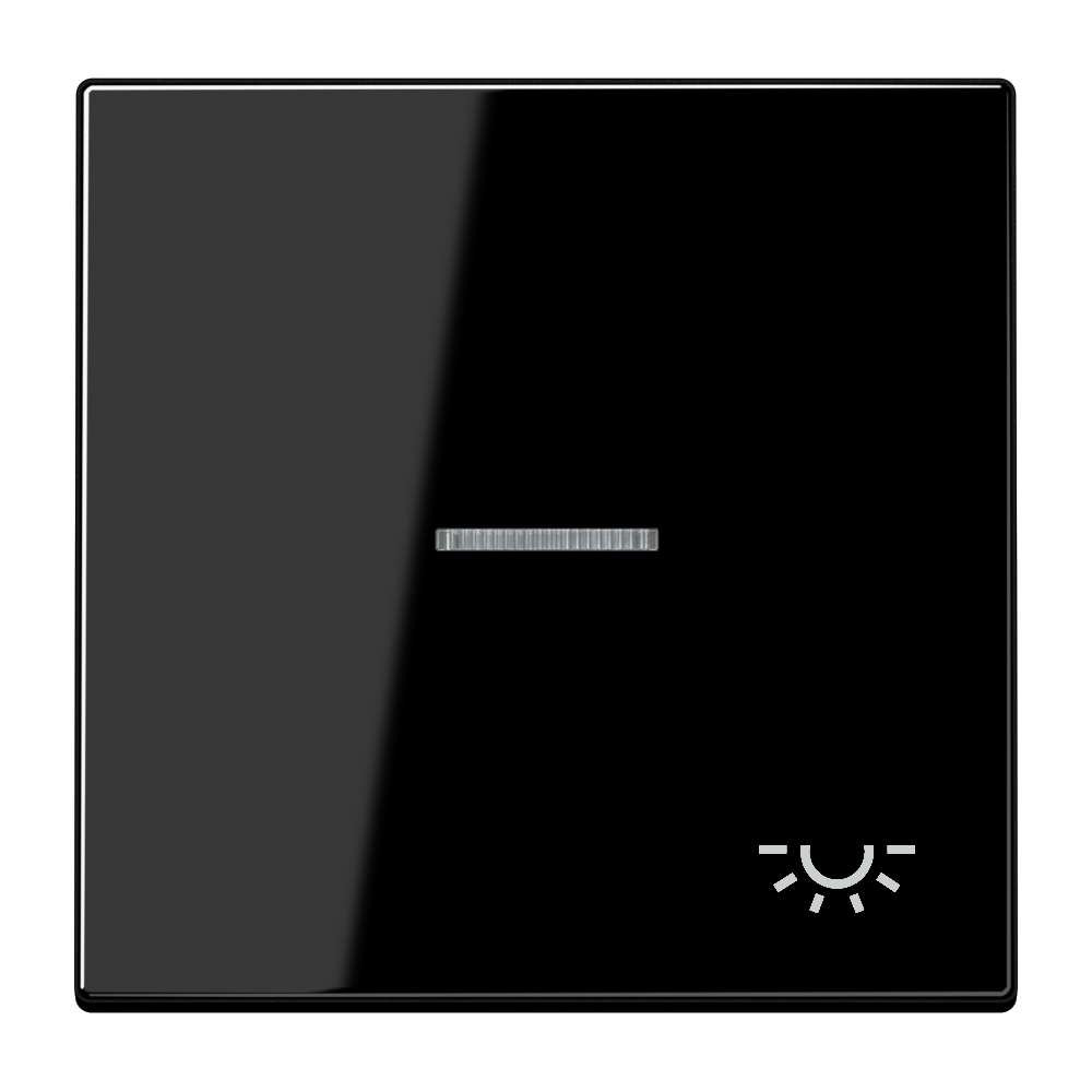 JUNG Wippe 1t Schalter sw glz Licht LS 990 KO5 L SW f.Bussystem