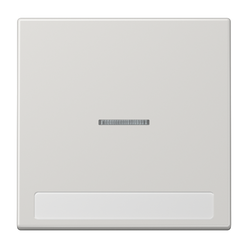 JUNG Kontrollwippe Schalter lgr glz BSF LS 990 NAKO5 LG