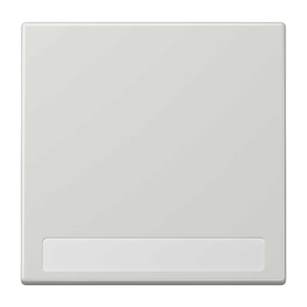 JUNG Wippe Schalter lgr glz f.Bussystem LS 990 NA LG BSF