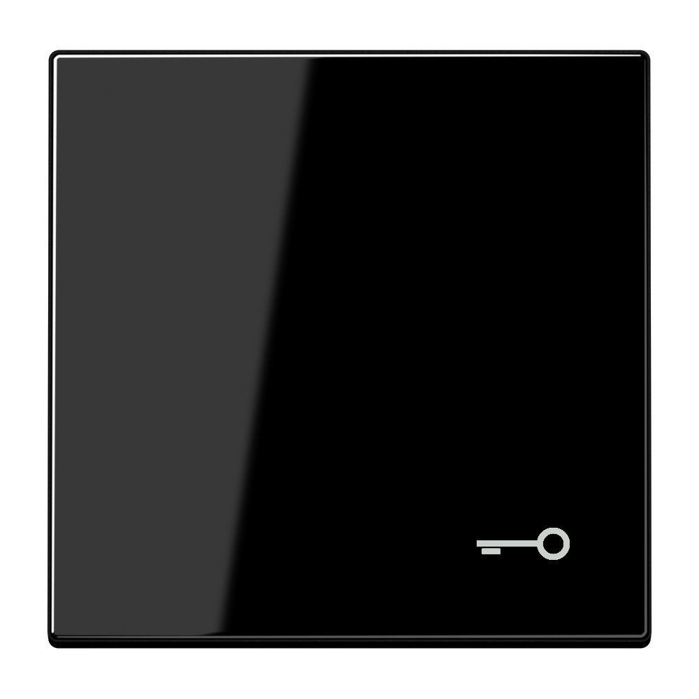 JUNG Wippe Schalter sw glz Schl/Tür LS 990 T SW