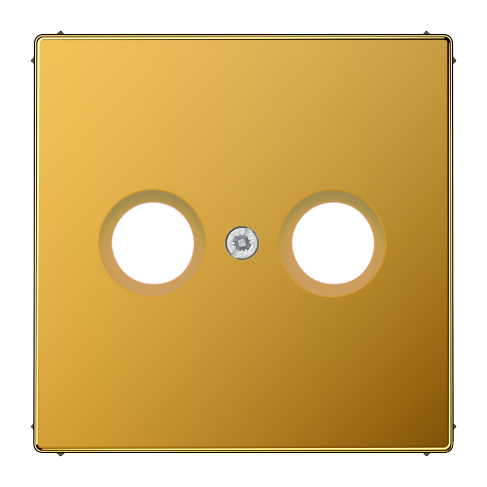 JUNG Zentralplatte Ant.dose 2f go LS 990 TV GGO Schraubbef