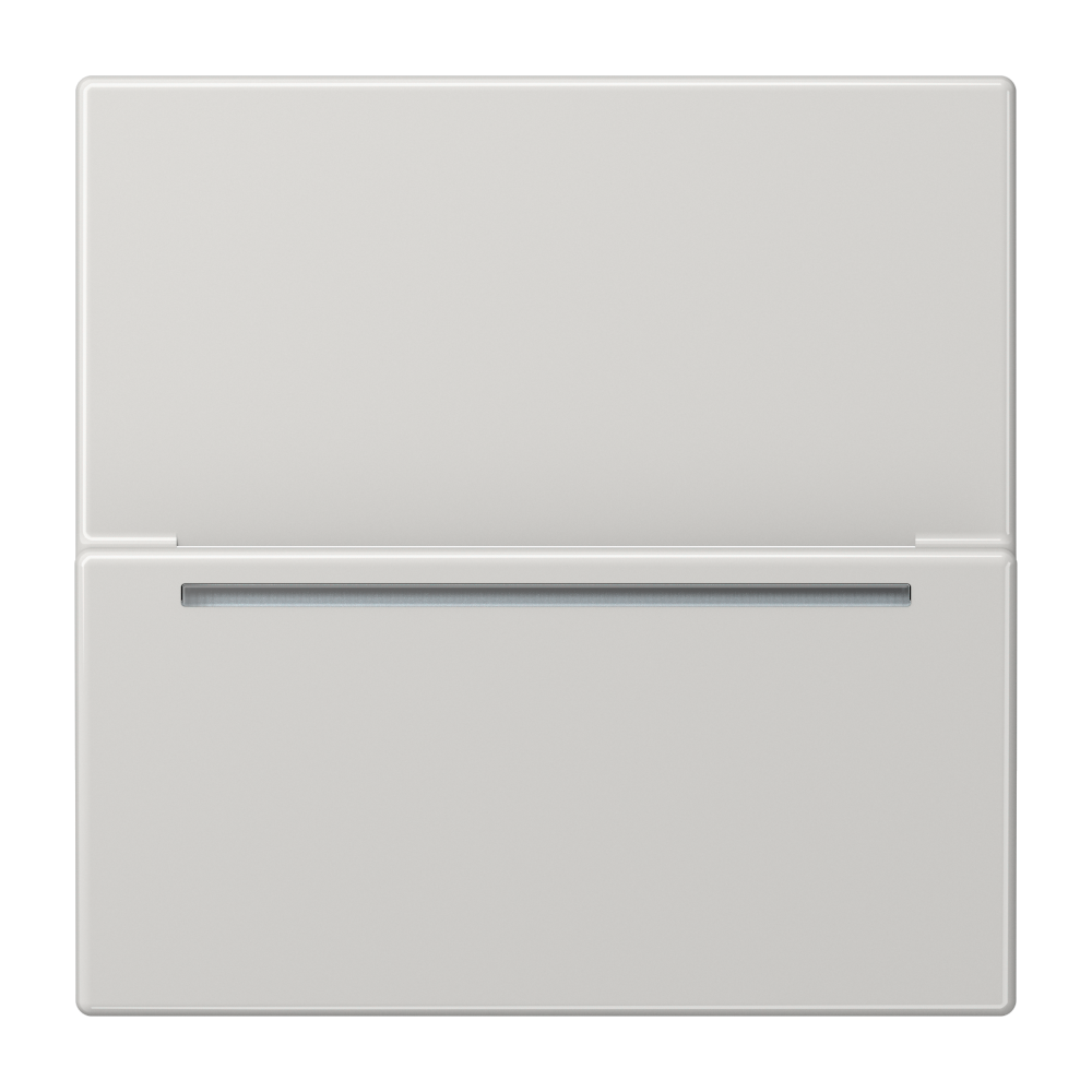 JUNG Hotelcard Schalter lgr glz LS CARD RFID LG