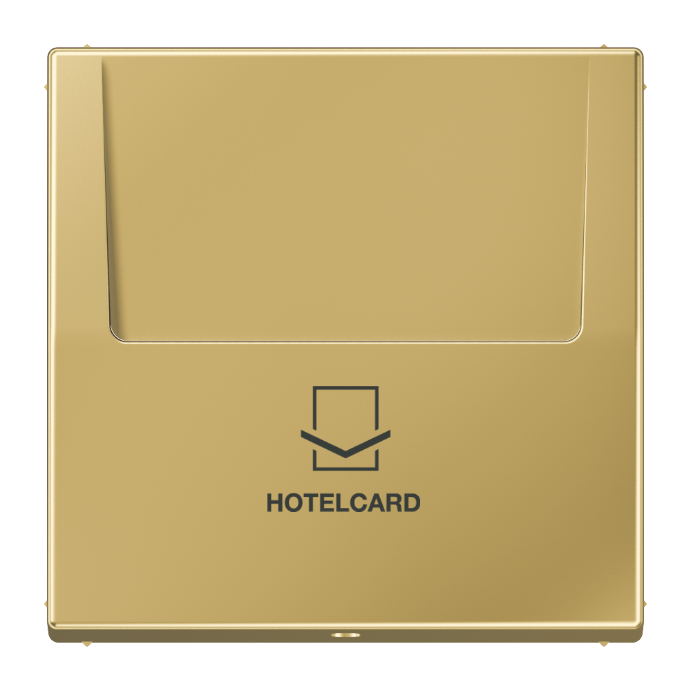 JUNG Hotelcard Schalter ms mt LS ME 2990 CARD C