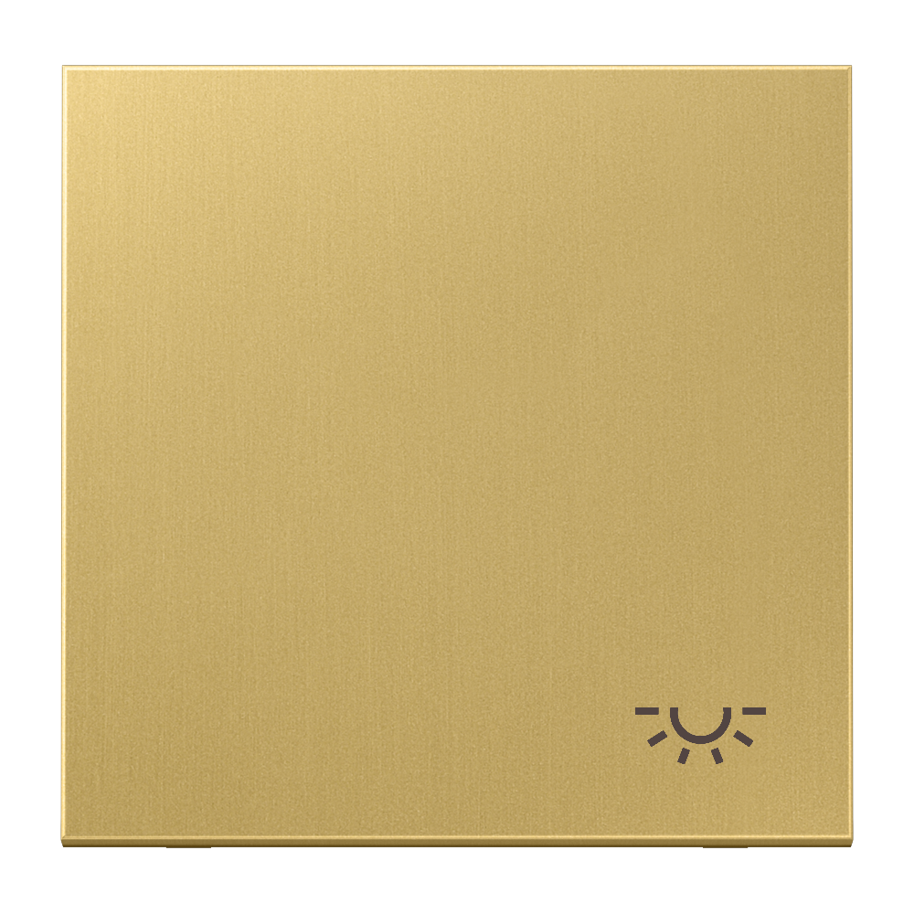 JUNG Wippe Schalter ms mt Licht LS ME 2990 L C