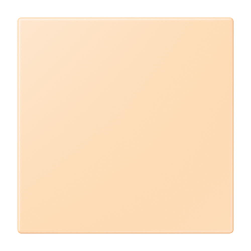 JUNG Netzgerät f.Beh ocre RAL32060 mt LS NRS LC 0834 NT 223