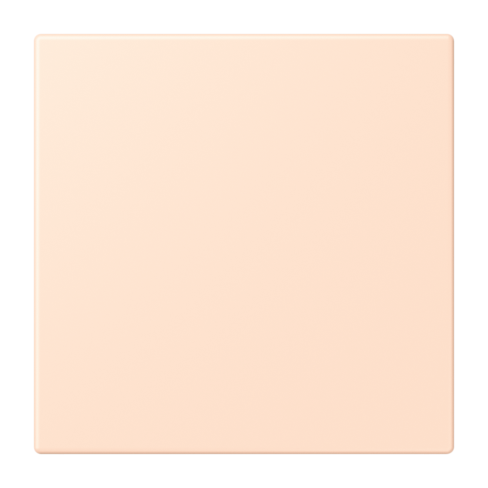 JUNG Netzgerät f.Beh ros_pal RAL32091 mt LS NRS LC 0834 NT 228