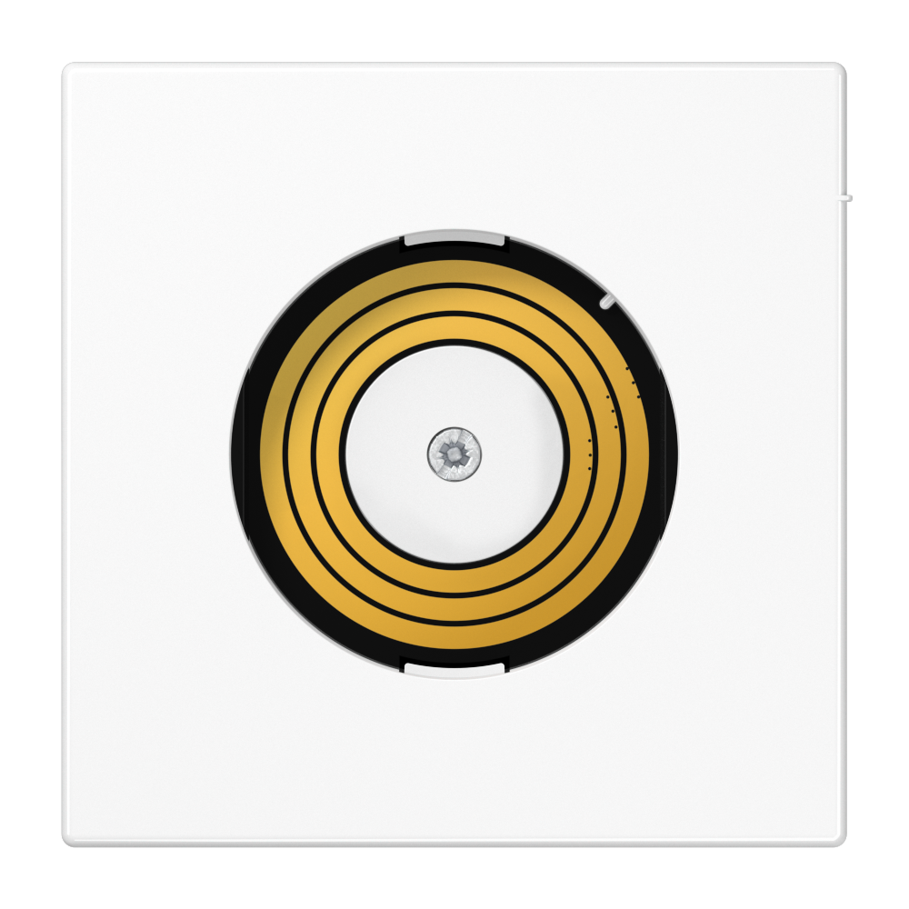 JUNG Abdeckung ws Kst B70mm H70mm LS PL DMS WW