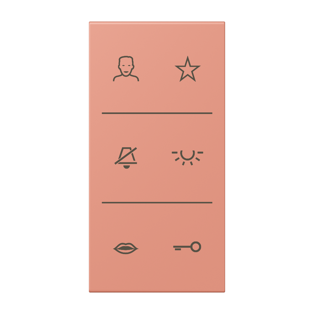JUNG Abdeckung Türstat l'ocr_rou_moy mt LS SI V6 LC DC 233 div.Symbole