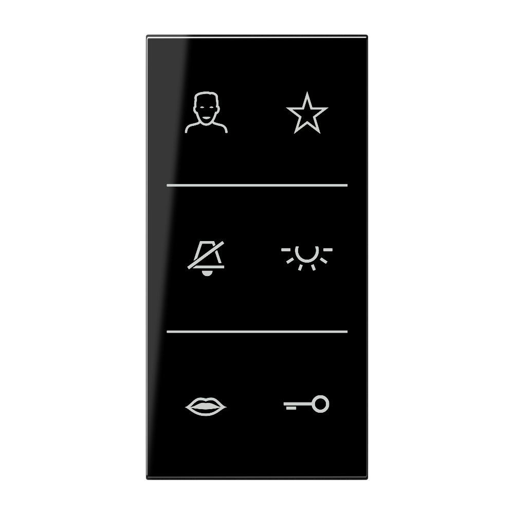 JUNG Design-Cover Kst sw LS SI V6 DC SW