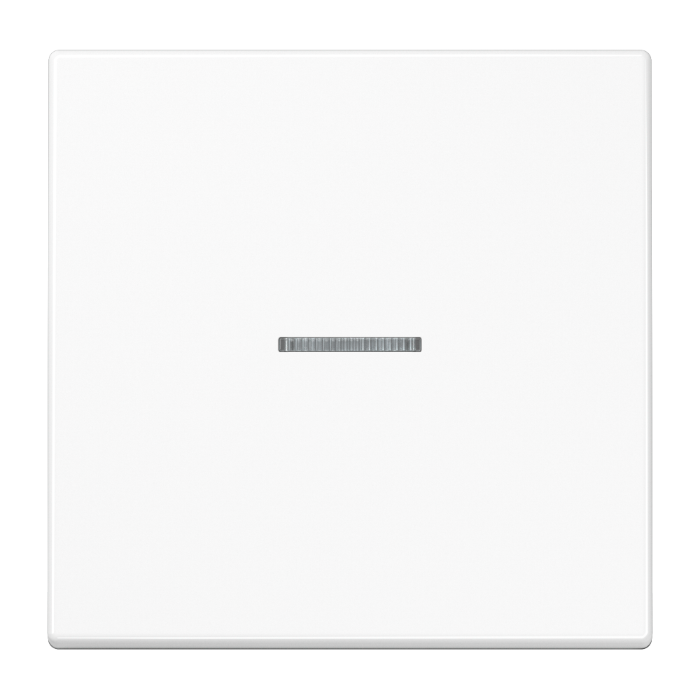 JUNG Tastsensor KNX UP aws 1f 2pkt LED SPLS 1091 1STRF WW Bussystem KNX-RF (Fun