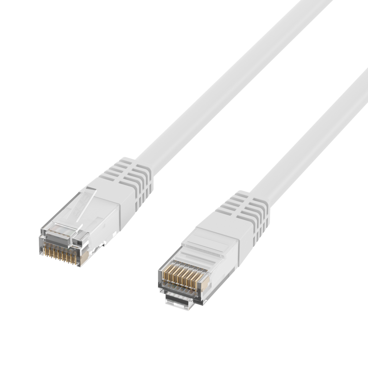 K8100WS.2