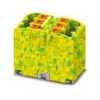 PHOENIX Verteilerblock 0,14-2,5qmm 6kl PTFIX 6X2,5 GNYE 1Etage gn/ge 24A TS35