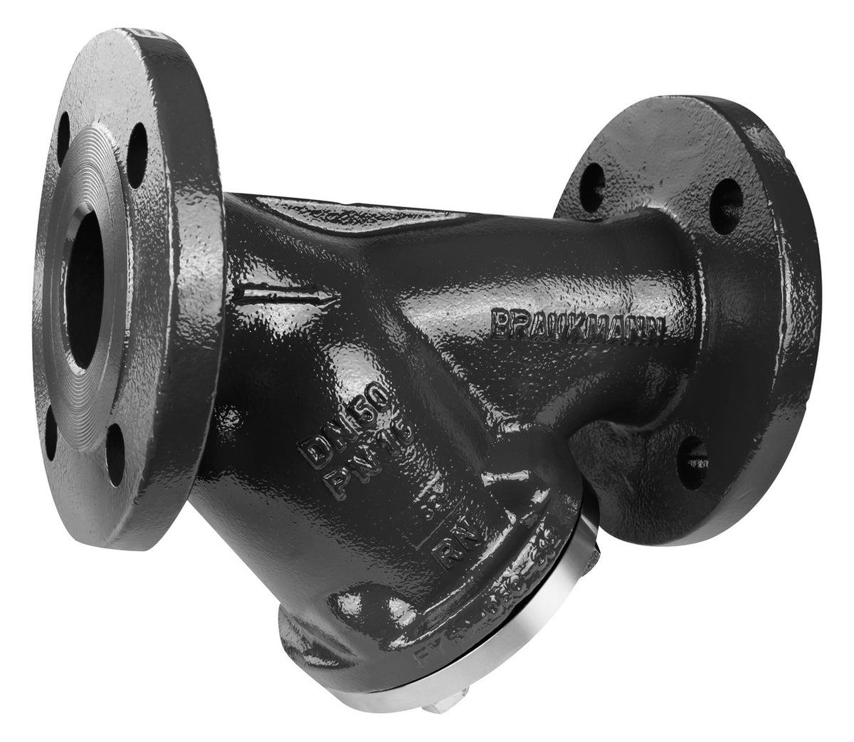 Honeywell Schmutzfänger DN 25, PN 16 aus Grauguss, mit Flansch und Doppelsieb | FY69P-25A