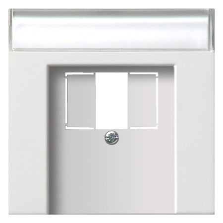 GIRA Zentralplatte USB/TAE 1f rws Fläche 0876112 Schraubbef m.Beschr.Feld