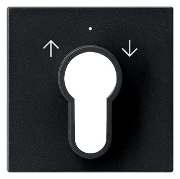 GIRA Schlüssel/Abd Jalousie sw mt System 55 0664005 Pfeile