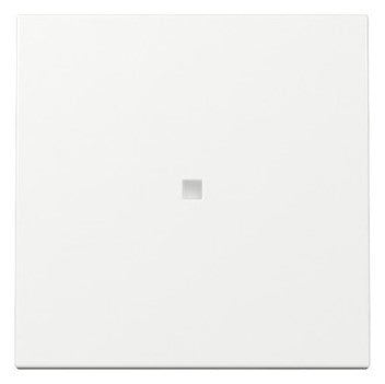 GIRA Kontrollwippe Schalter rws glz System 55 329003