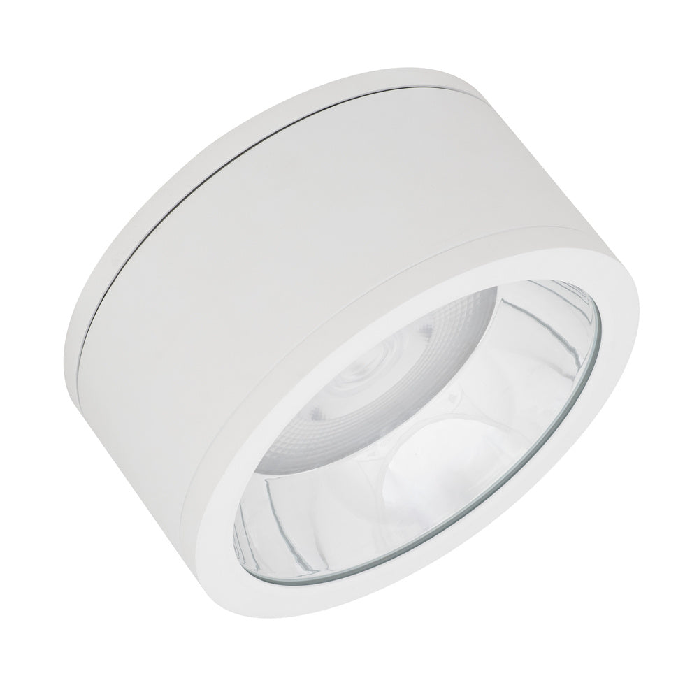 LEDVANCE LED-Anbaustrahler 45W Konv 1LED DL SURFACE IP65 DN 250 P 45W 830 36 ws