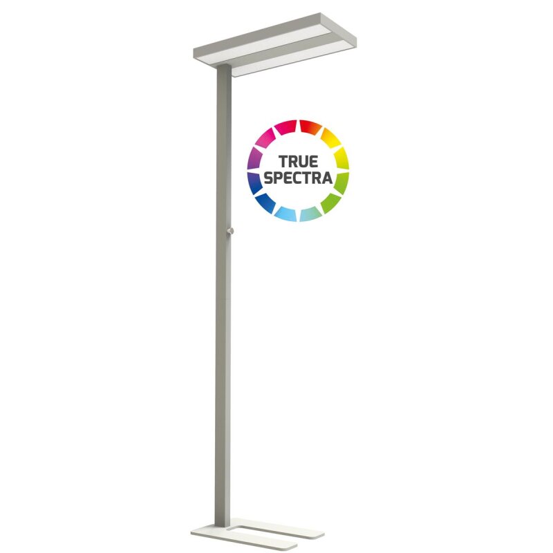https://desk.syncspider.com/media/3888863/dotlux-led-stehleuchte-assistsunlike-60w-cri95-5500k-dimmbar.jpg