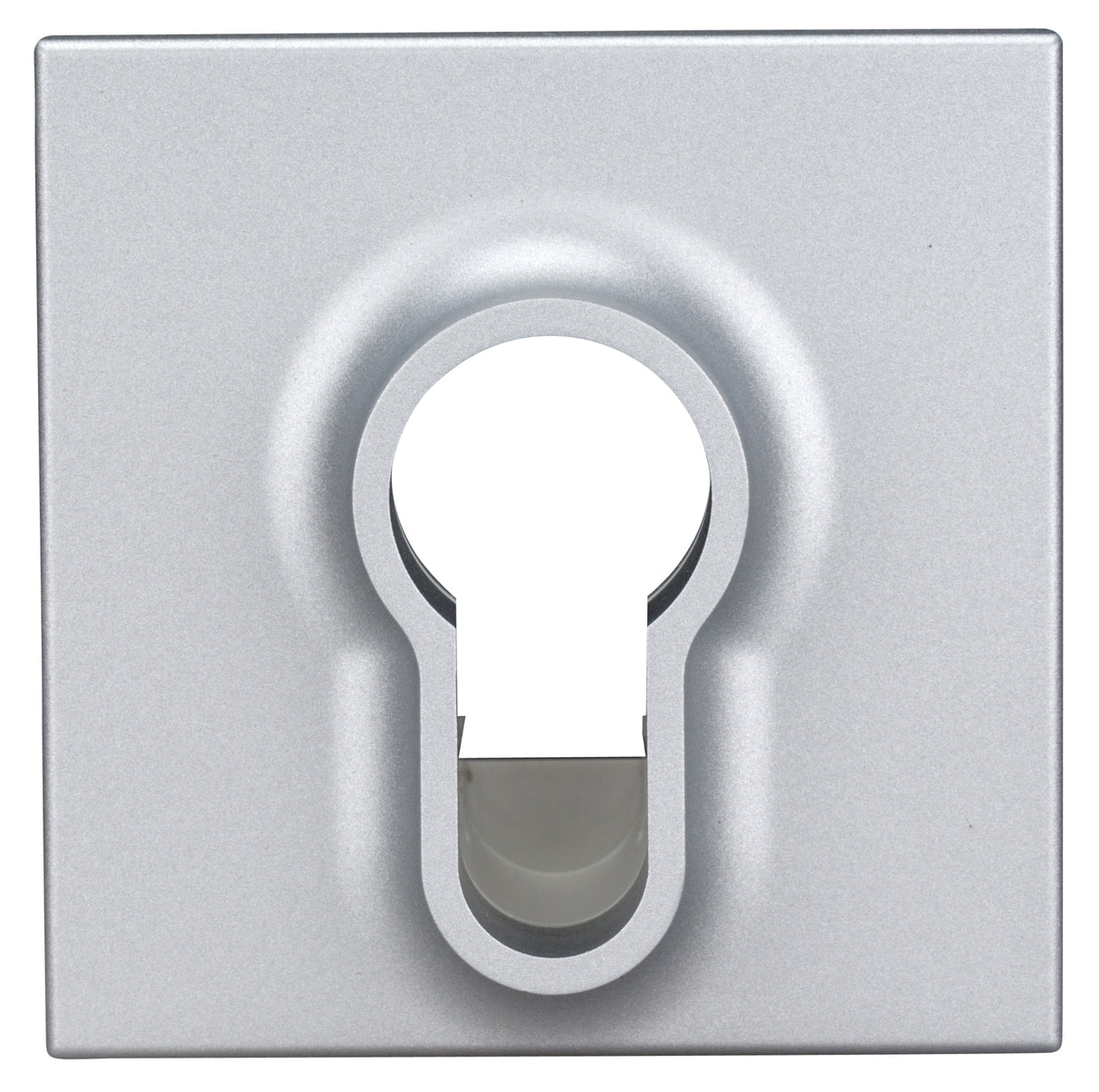 Abdeckung für Schlüsselschalter, Silber