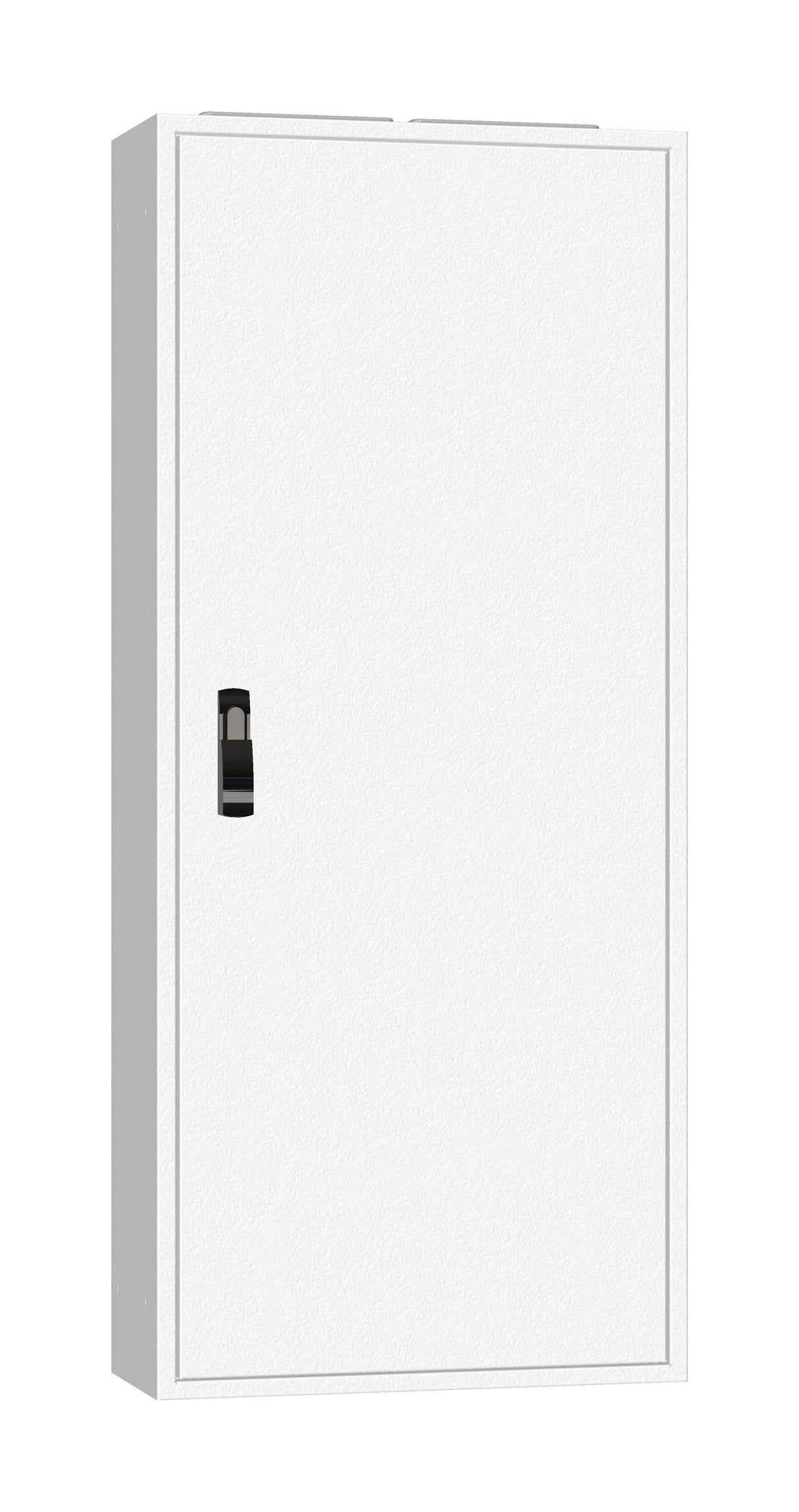 AP-Rahmen + Tür 2A-28 T=250mm, Rückwand + Schwenkhebel, IP54