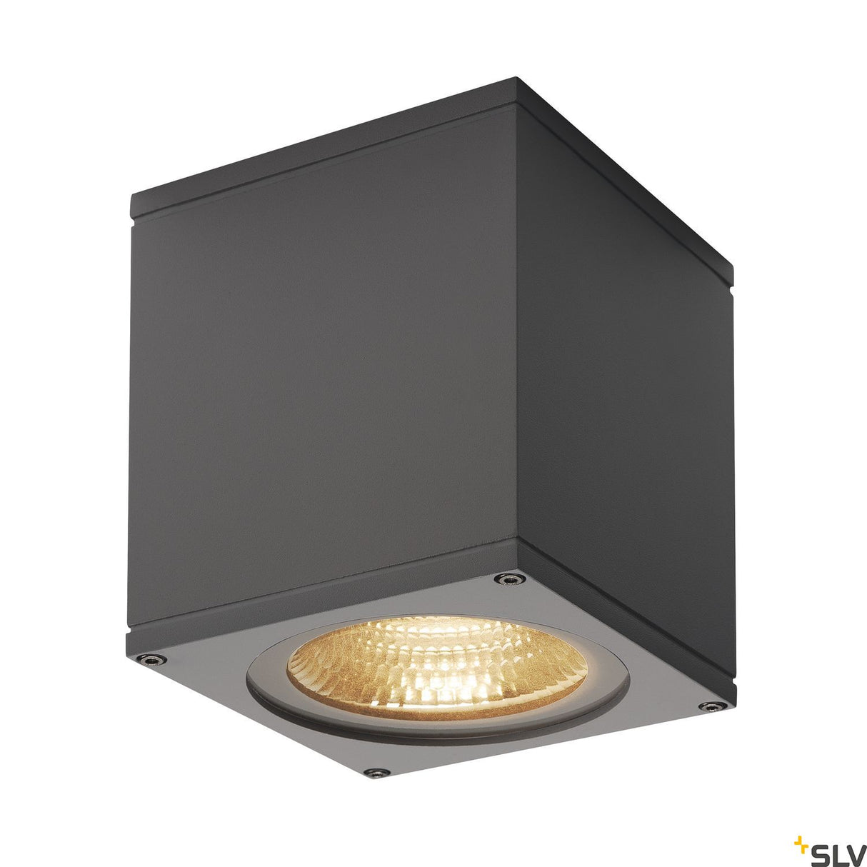 BIG THEO CEILING, Outdoor Deckenleuchte, LED, anthrazit