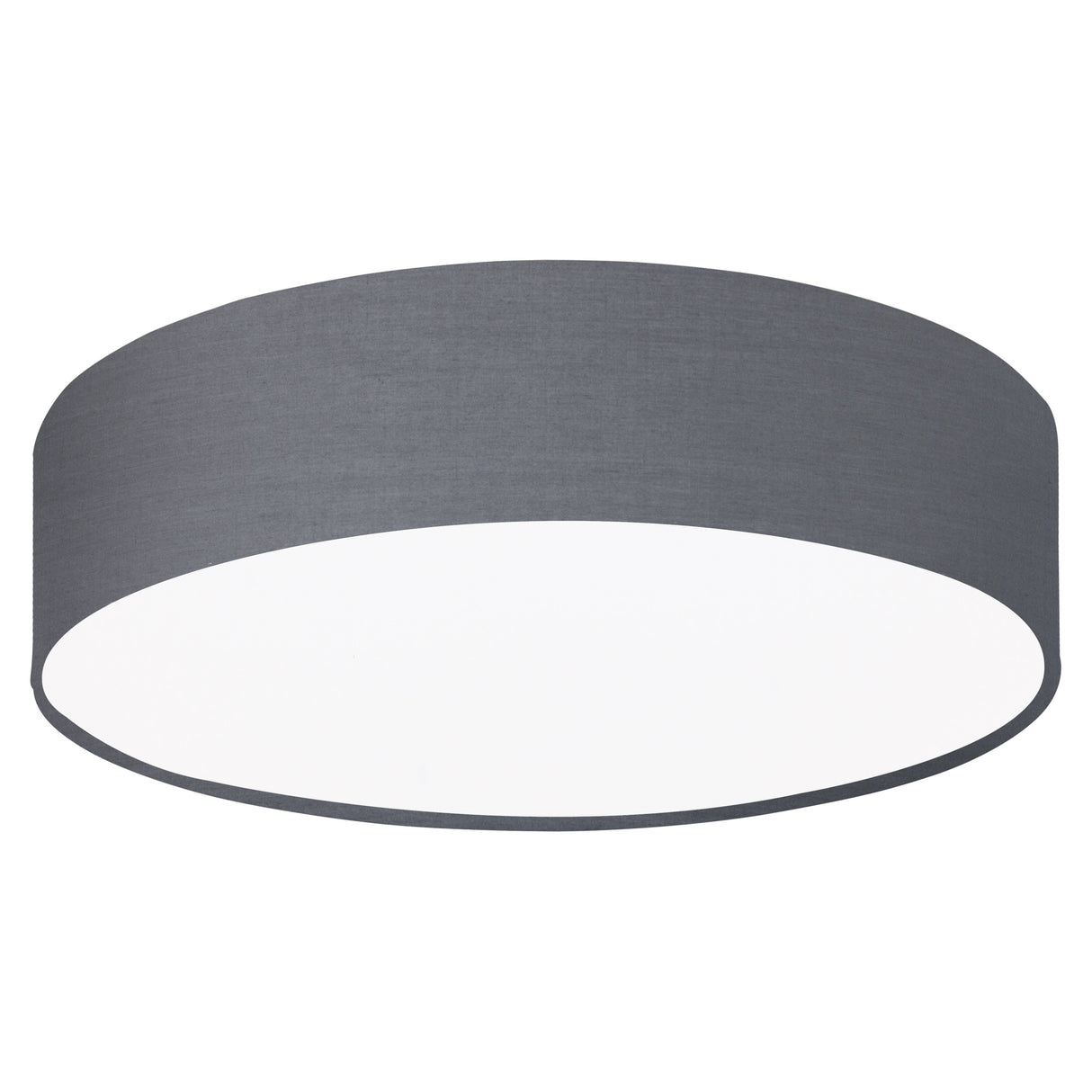 Deckenleuchte "Pasteri Pro" 1 x 60W grau IP20