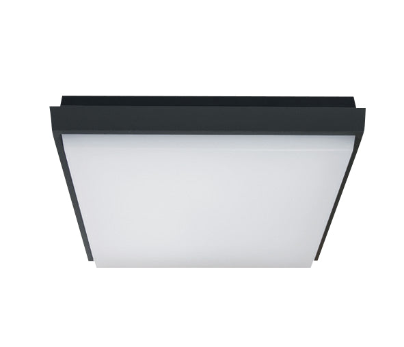 67362A/AN/W ANTHRACITE PLAFO 20W WW IP54 230V
