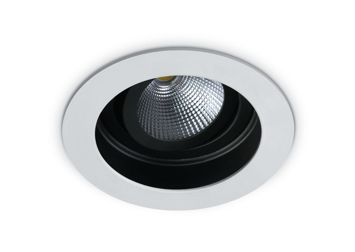 11112E/W/W WEISS LED 12W WW IP44 700mA 40° ADJUSTABLE