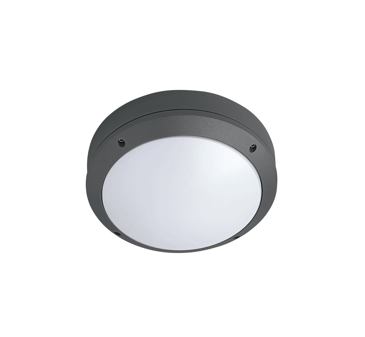 67204/AN ANTHRACITE IP54 E27 12W