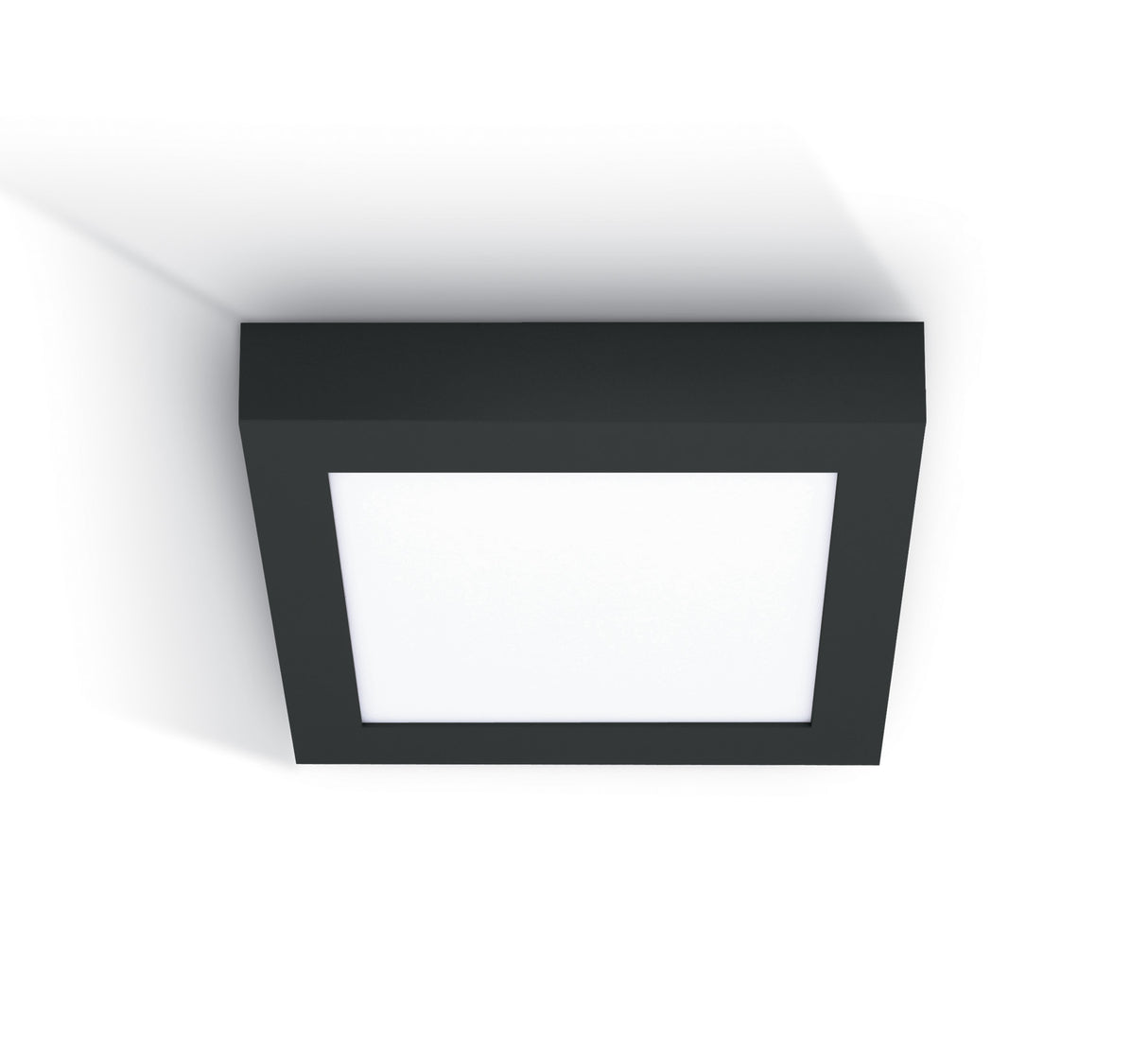 62122F/B/W SCHWARZ PLAFO 22W WW IP40 230V