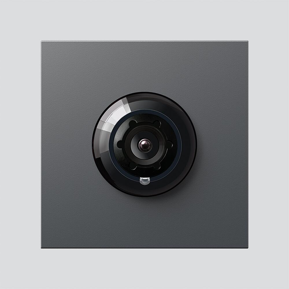 SIEDLE IP-Türsprechkamera PAL EB Kst dgr ACM 678-02 DG