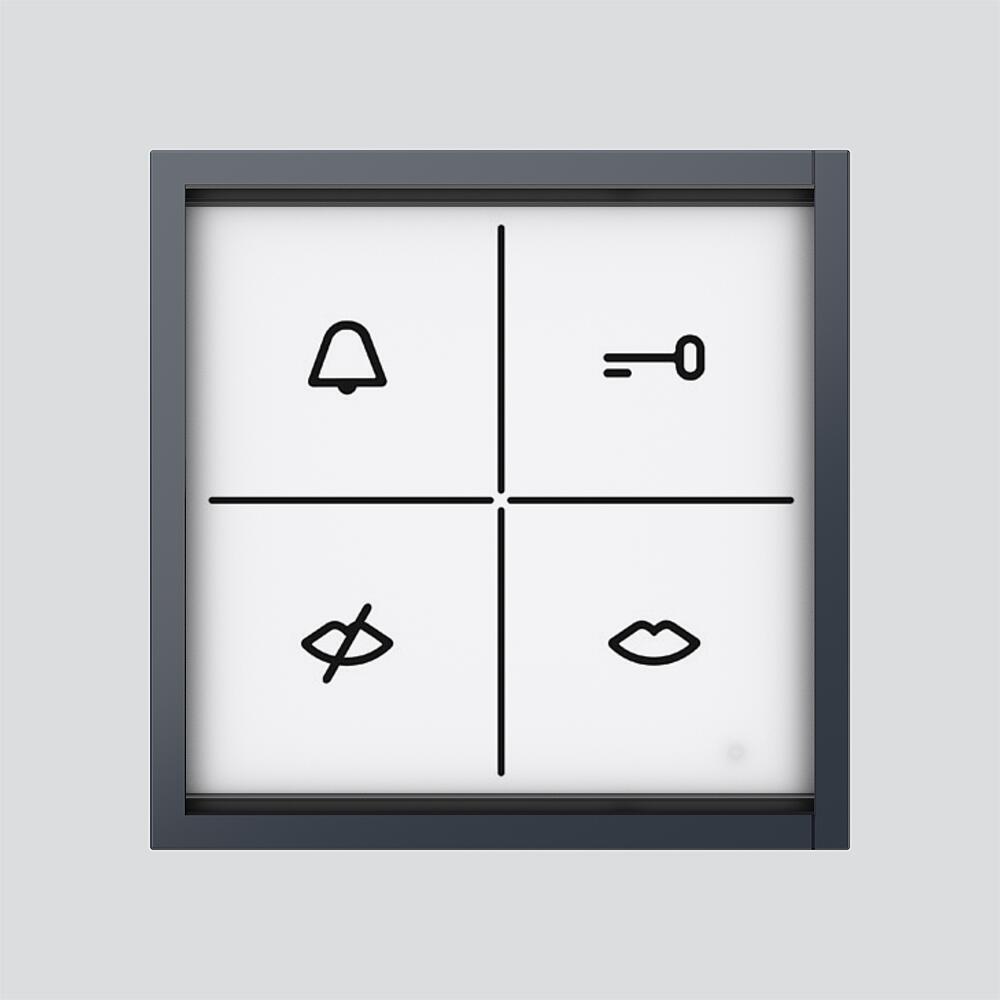 SIEDLE Rufdisplaymodul Bus anthgr ZAM 670-0 AG 99x99x26mm