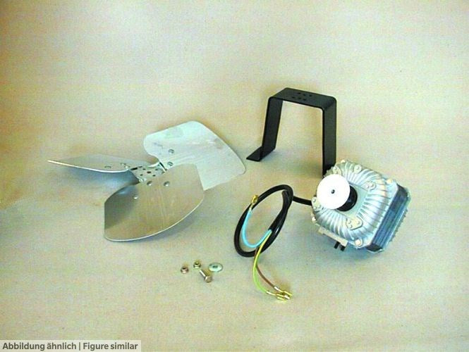 Motor 5W mit Flügel D200mm Tecumseh ohne Ständer