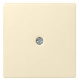 GIRA Zentralplatte Kabelausl cws System 55 027401 Schraubbef