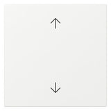 GIRA Wippe 1t Schalter rws glz Pfeile System 55 361603