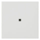 GIRA Tastwippe KNX rws glz Kst Thermopl System 55 510427 Bussystem KNX-RF (Funk)