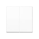 JUNG Zentralplatte Schalter aws glz AS 591-5 WW