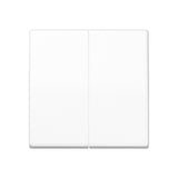 JUNG Wippe Serien Schalter aws glz AS 591-5 BF WW