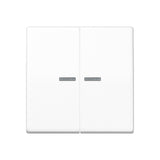 JUNG Zentralplatte Schalter aws glz AS 591-5 KO5 WW f.Bussystem