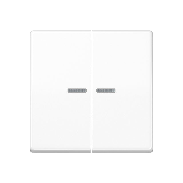 JUNG Zentralplatte Schalter aws glz AS 591-5 KO5 WW f.Bussystem