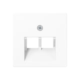 JUNG Zentralplatte UAE/IAE 2f aws AS/A A 569-2 BFPLUA WW Schraubbef