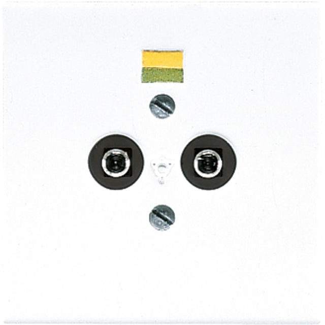 JUNG Potenzialausgleichsdose UP aws glz LS 965-2 WW Steckd 2f