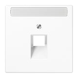 JUNG Zentralplatte UAE/IAE 1f aws LS 969-1 NAUA WW Schraubbef