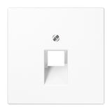 JUNG Zentralplatte UAE/IAE 1f aws LS 969-1 UA WW Schraubbef