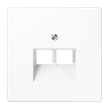 JUNG Zentralplatte UAE/IAE 2f aws LS 969-2 UA WW Schraubbef